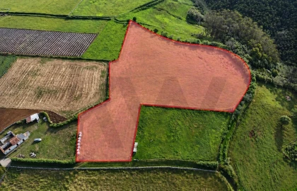 Terreno para Venda em Almagreira