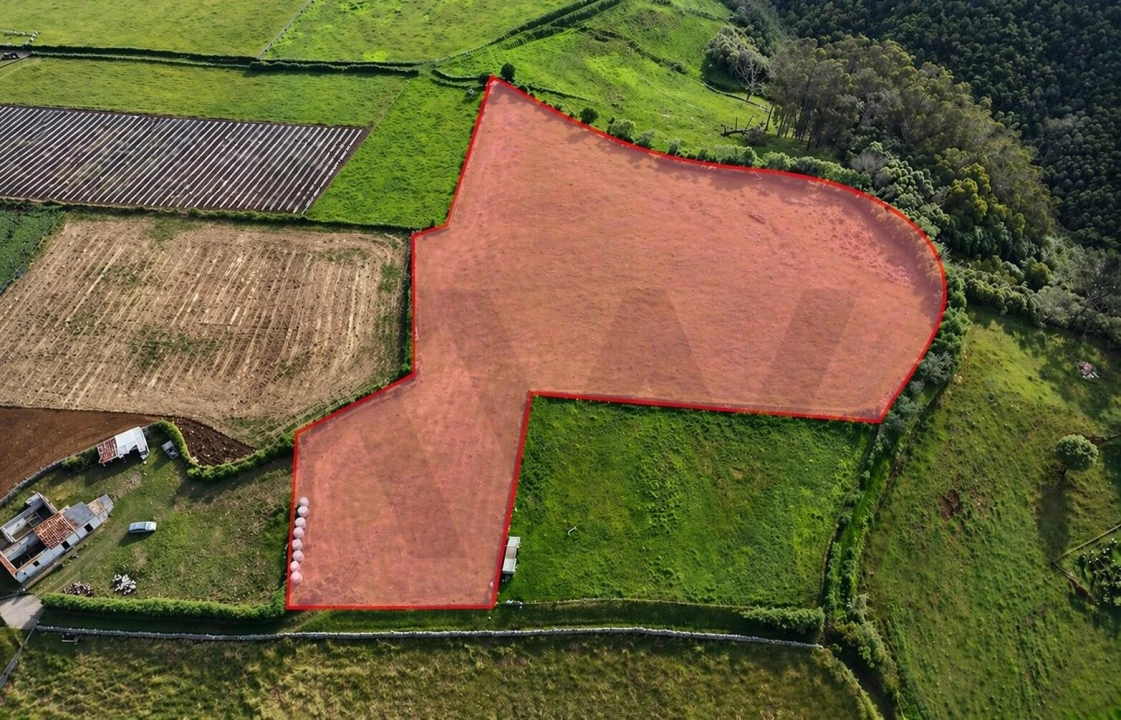 Terreno para Venda em Almagreira Foto 8