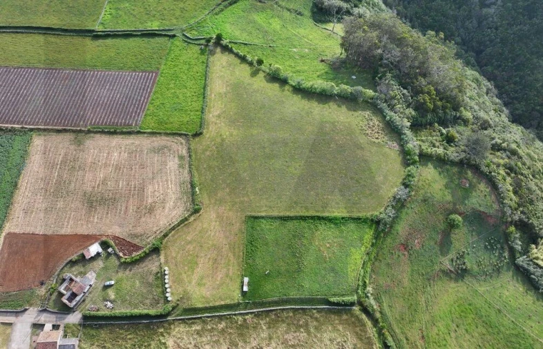 Terreno para Venda em Almagreira Foto 3