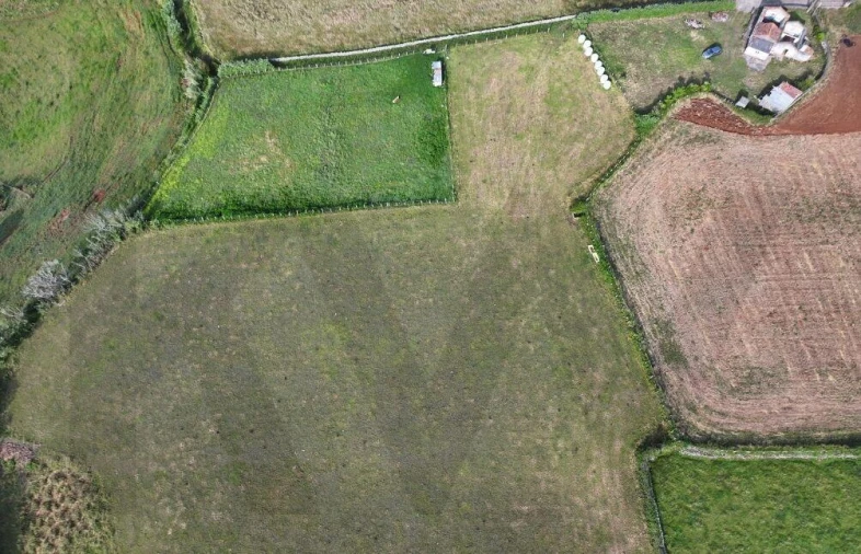 Terreno para Venda em Almagreira Foto 4