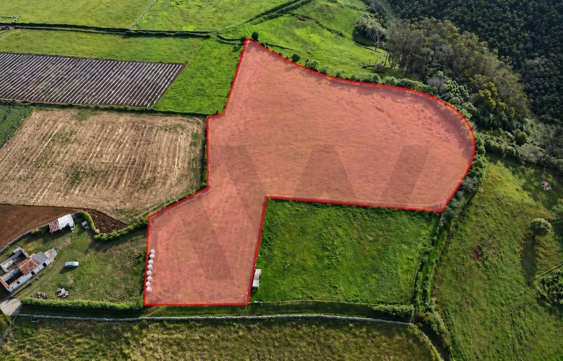 Terreno para Venda em Almagreira Foto 8