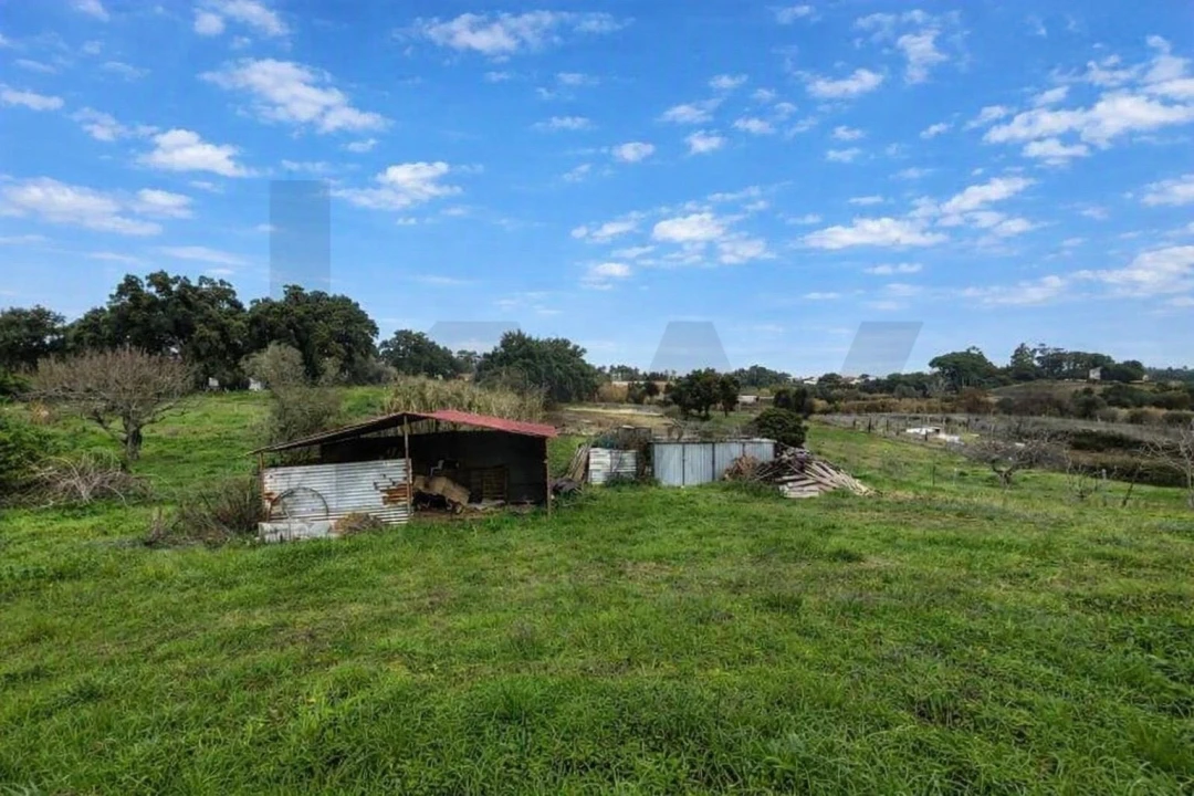 Moradia T3 para Venda em São Vicente do Paul e Vale de Figueira Foto 24