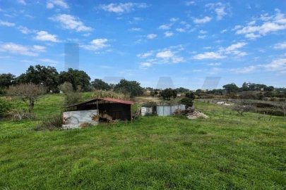 Moradia T3 para Venda em São Vicente do Paul e Vale de Figueira