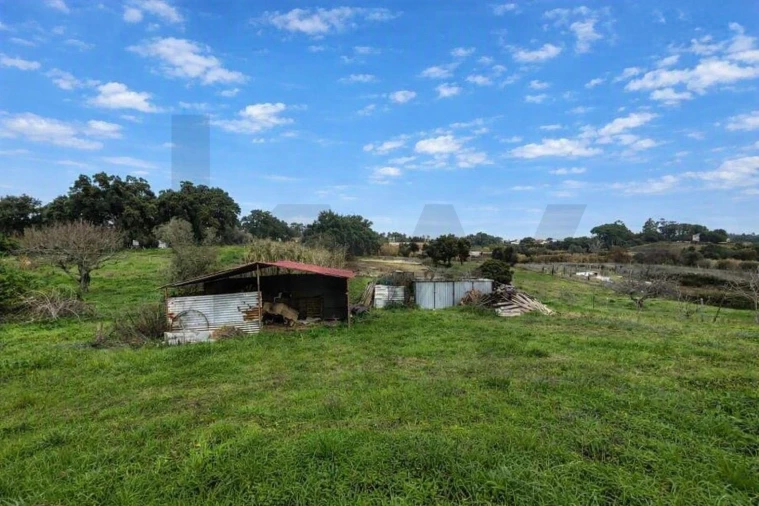 Moradia T3 para Venda em São Vicente do Paul e Vale de Figueira Foto 24