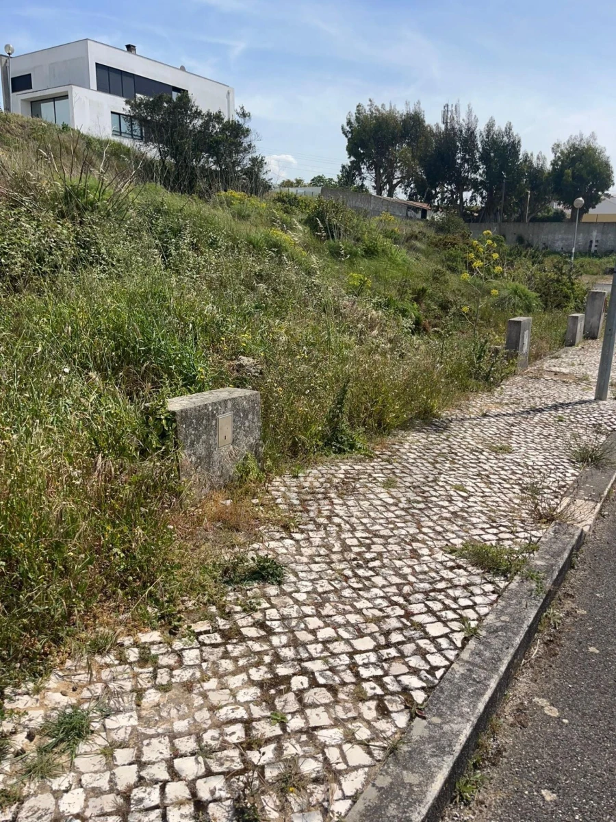 Terreno para Venda em Santa Maria, São Pedro e Matacães Foto 16