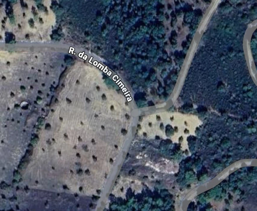 Terreno Agricola ou Rústico para Venda em Mouriscas Foto 1