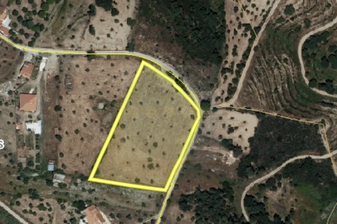 Terreno Agricola ou Rústico para Venda em Mouriscas Foto 2
