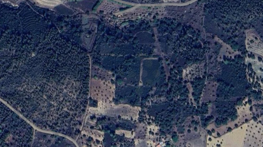 Terreno Agricola ou Rústico para Venda em Mouriscas Foto 2