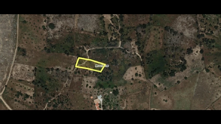 Terreno Agricola ou Rústico para Venda em Mouriscas