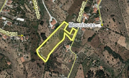 Terreno Agricola ou Rústico para Venda em Mouriscas