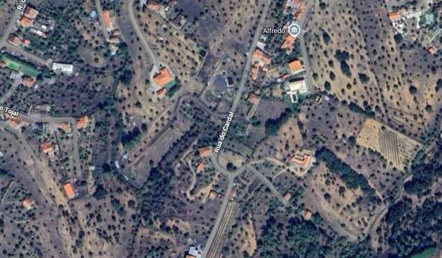 Terreno Agricola ou Rústico para Venda em Mouriscas Foto 2