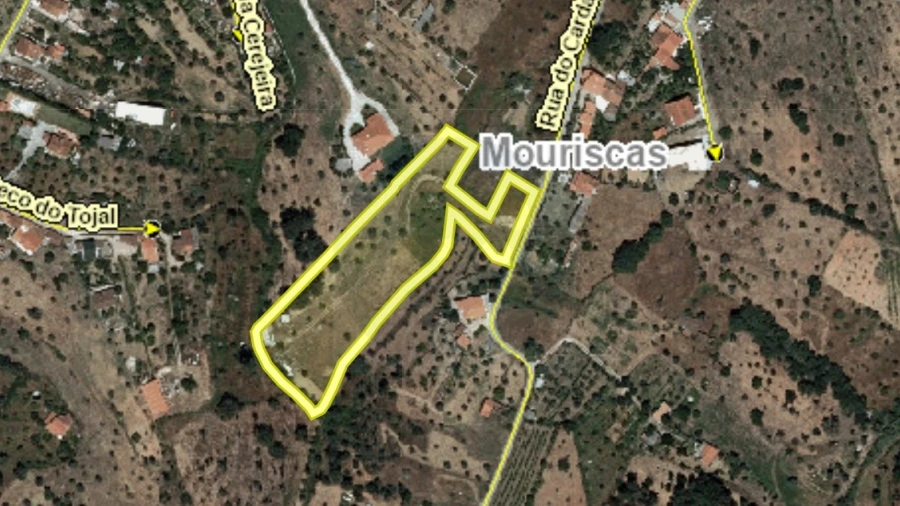 Terreno Agricola ou Rústico para Venda em Mouriscas