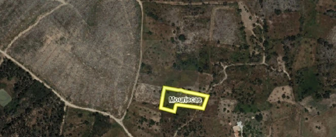Terreno Agricola ou Rústico para Venda em Mouriscas