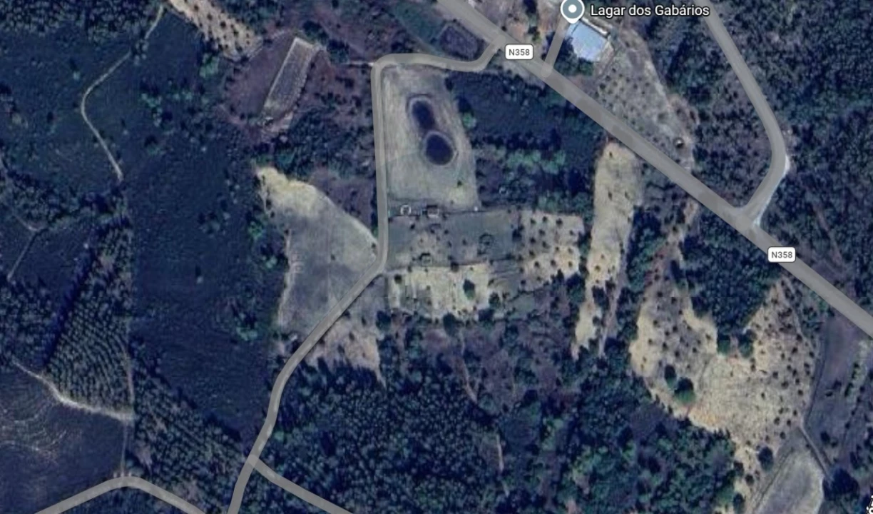 Terreno Agricola ou Rústico para Venda em Mouriscas Foto 1