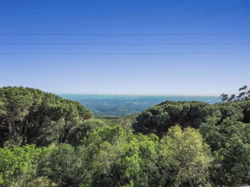 Moradia T4 para Venda em Monchique