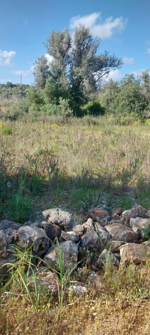 Terreno para Venda em São Silvestre