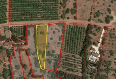 Terreno para Venda em São Silvestre