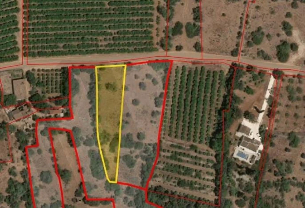 Terreno para Venda em São Silvestre Foto 1
