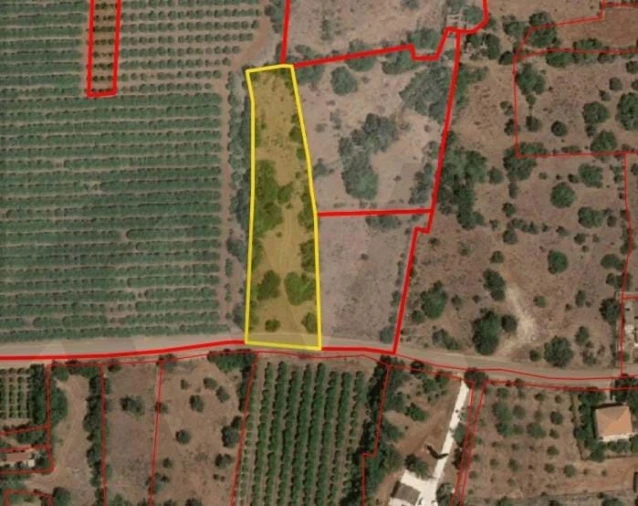 Terreno para Venda em São Silvestre