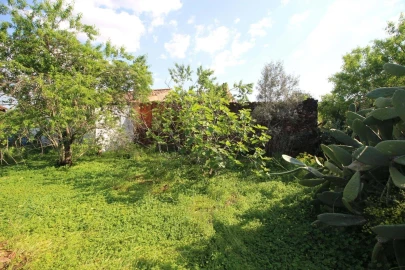 Terreno para Venda em São Silvestre