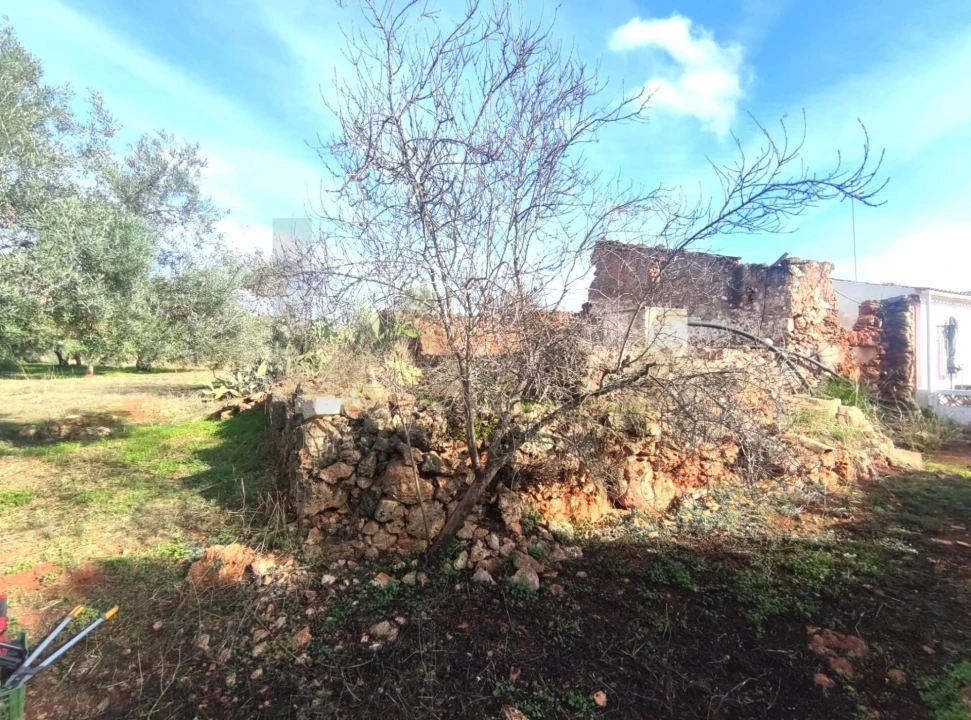 Terreno para Venda em São Silvestre Foto 3