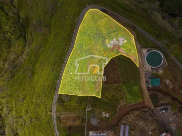 Terreno para Venda em Fajã da Ovelha