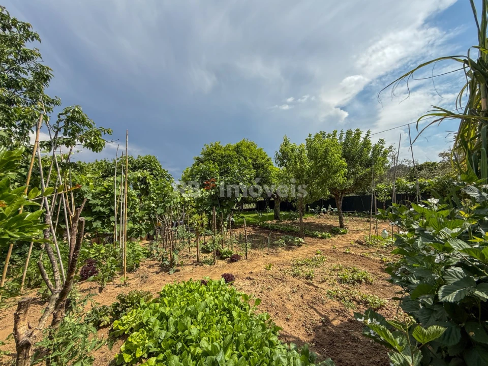 Moradia T7 para Venda em Serra e Junceira Foto 90