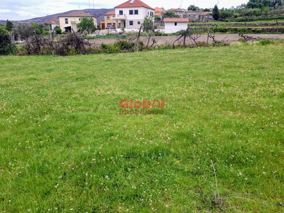 Terreno para Venda em Arnas Foto 2