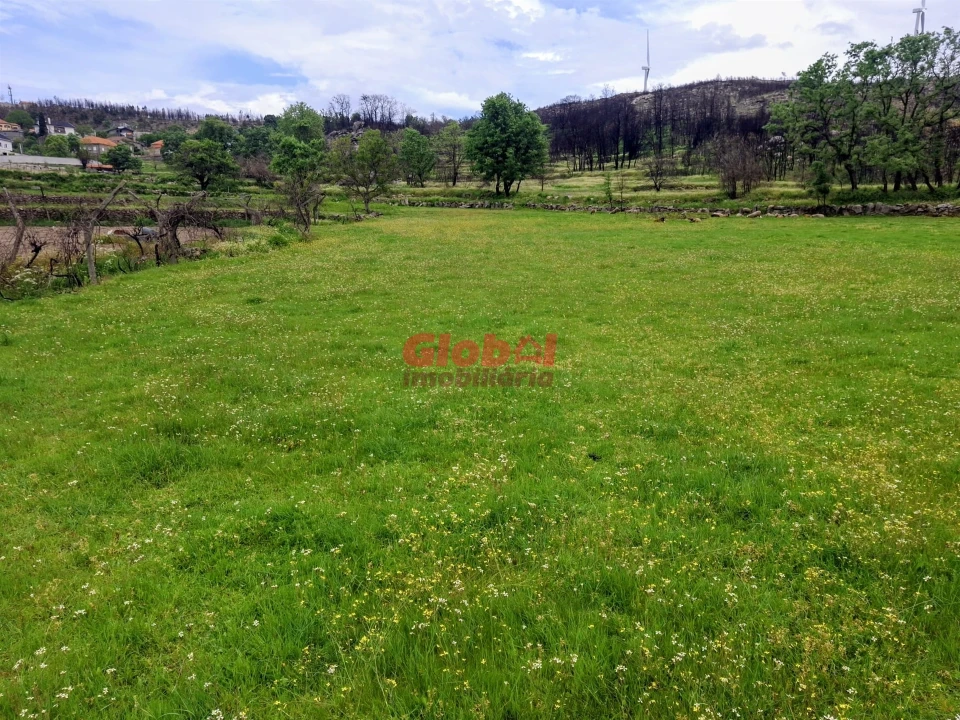 Terreno para Venda em Arnas Foto 1