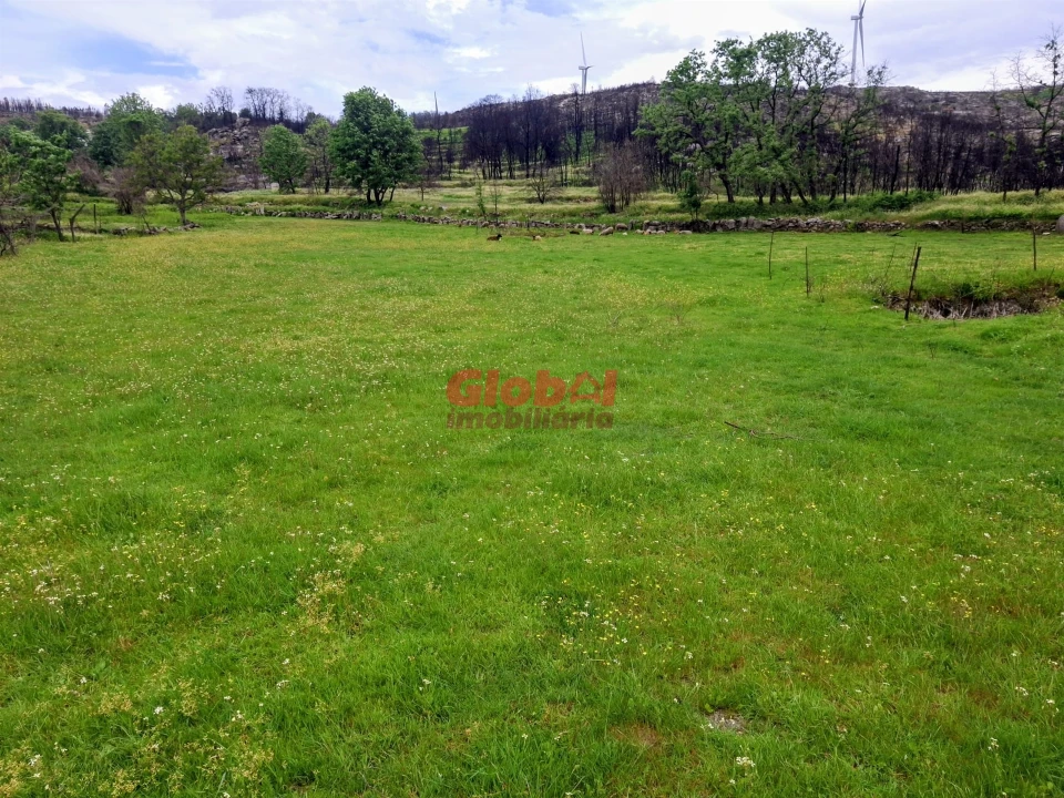 Terreno para Venda em Arnas Foto 3