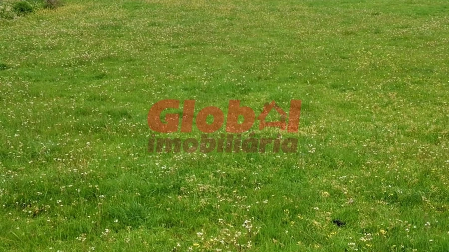 Terreno para Venda em Arnas