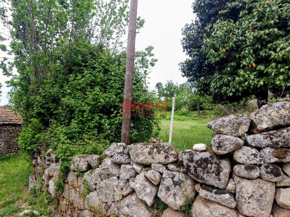Terreno para Venda em Arnas Foto 7