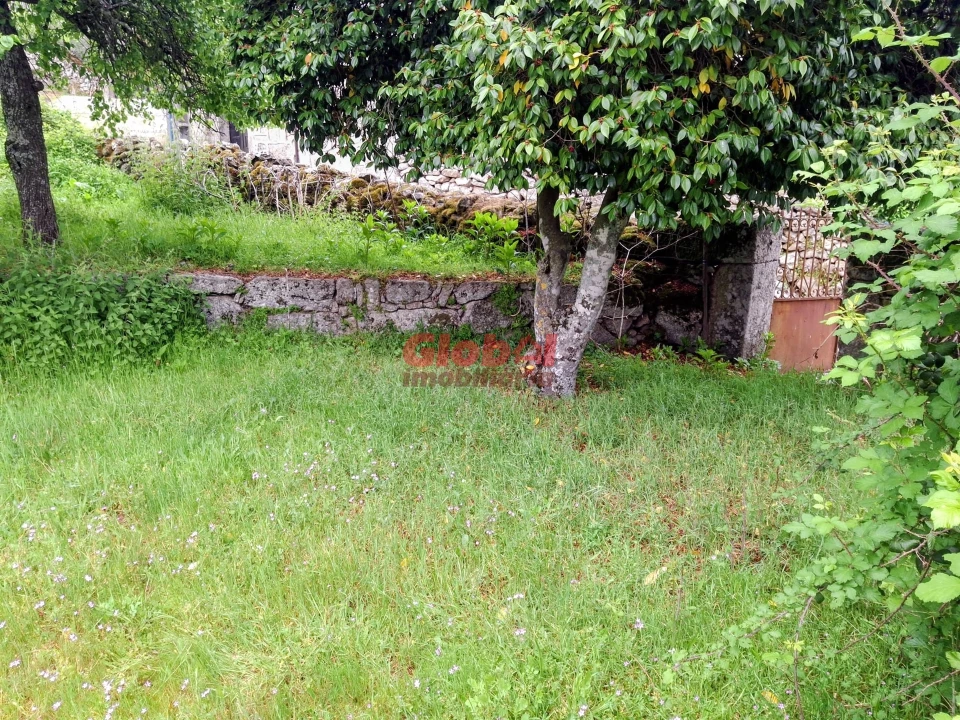 Terreno para Venda em Arnas Foto 4