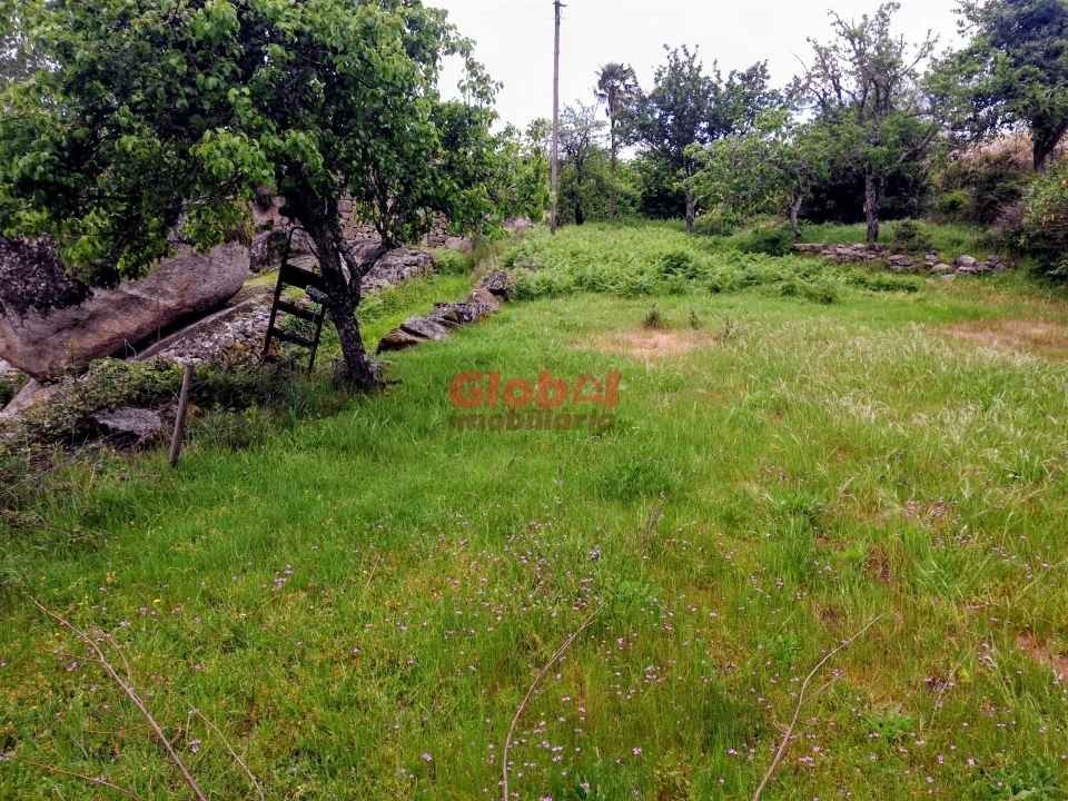 Terreno para Venda em Arnas Foto 1