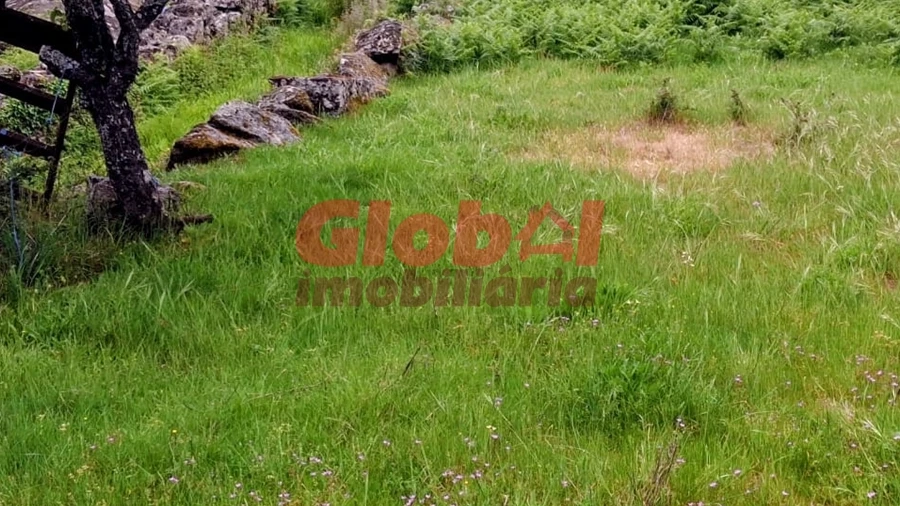 Terreno para Venda em Arnas