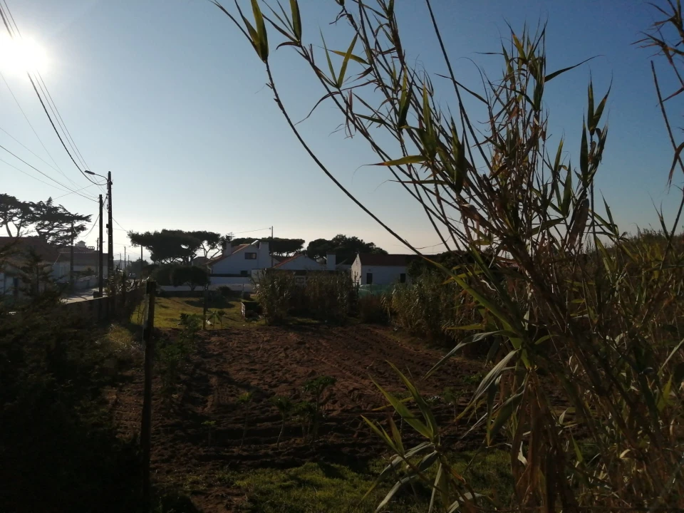 Terreno para Venda em Colares Foto 7