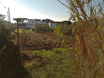 Terreno para Venda em Colares