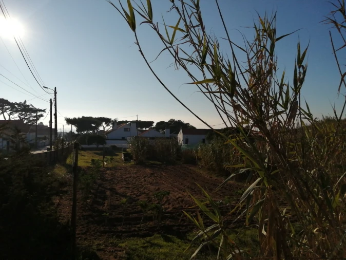 Terreno para Venda em Colares Foto 7