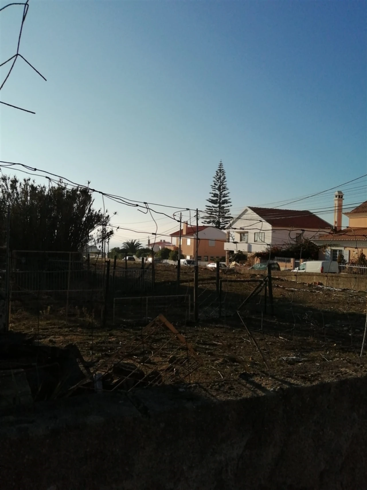 Terreno para Venda em Colares Foto 1
