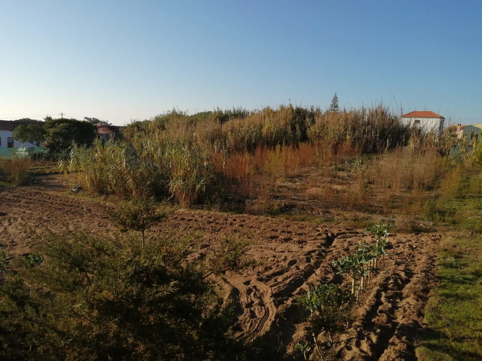 Terreno para Venda em Colares Foto 9