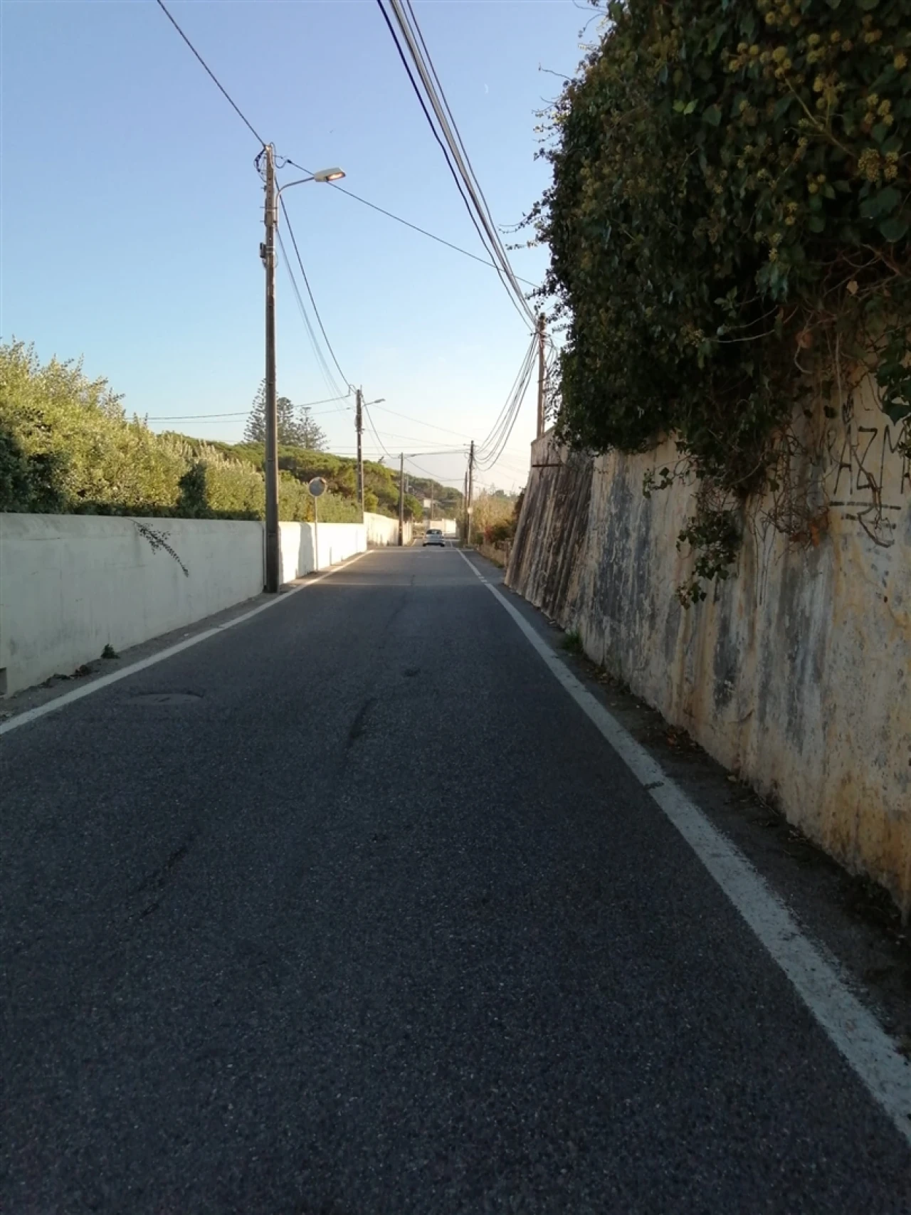 Terreno para Venda em Colares Foto 3
