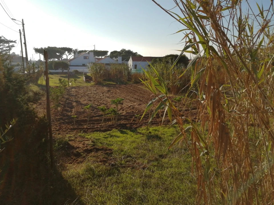 Terreno para Venda em Colares Foto 8