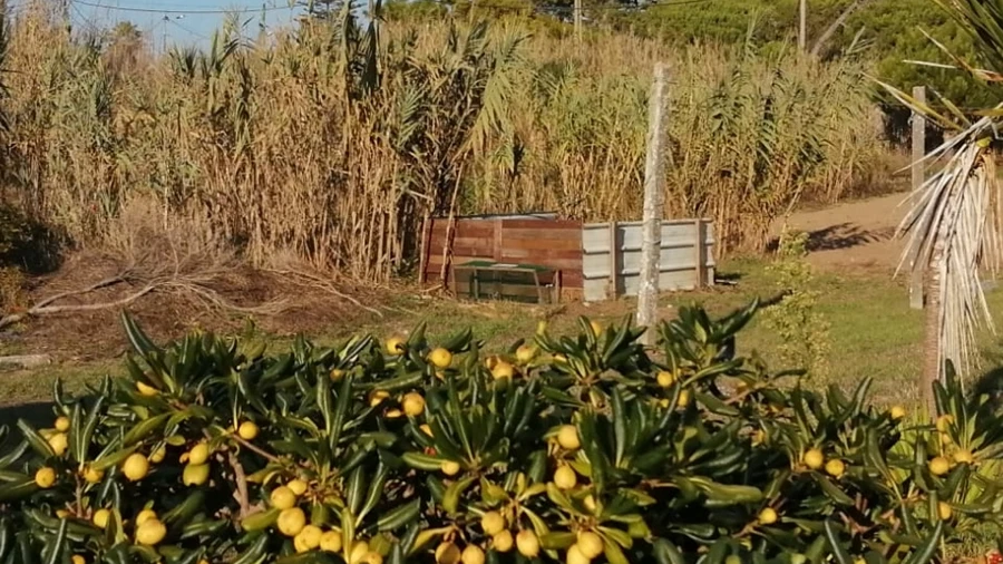 Terreno para Venda em Colares
