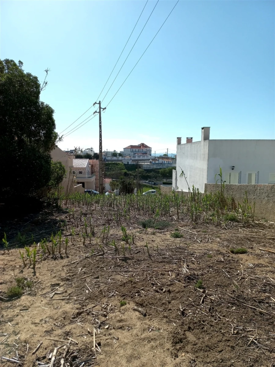 Terreno para Venda em Colares Foto 10