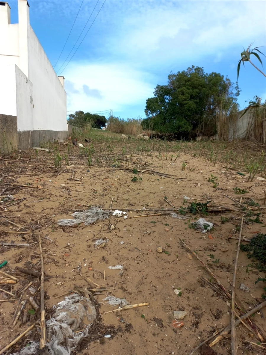 Terreno para Venda em Colares Foto 5