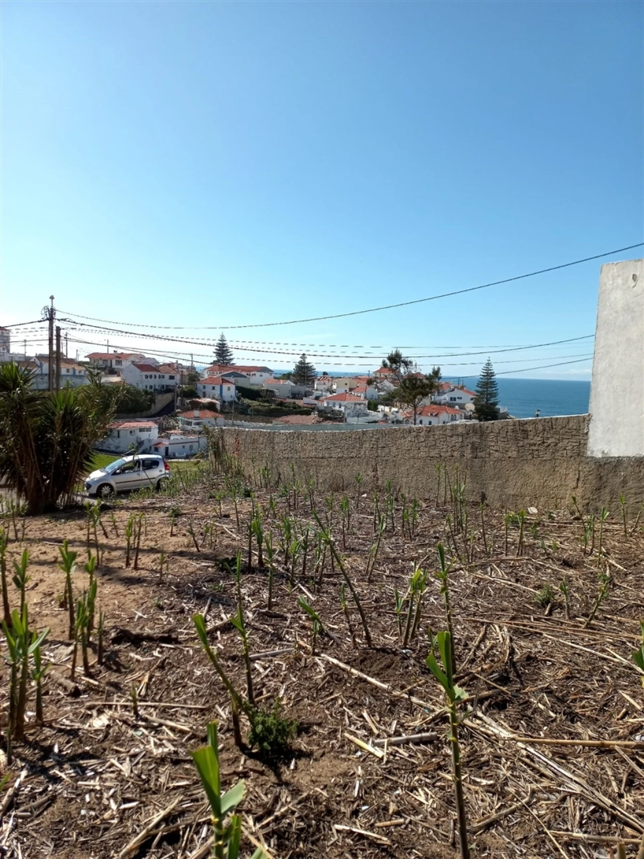 Terreno para Venda em Colares Foto 11