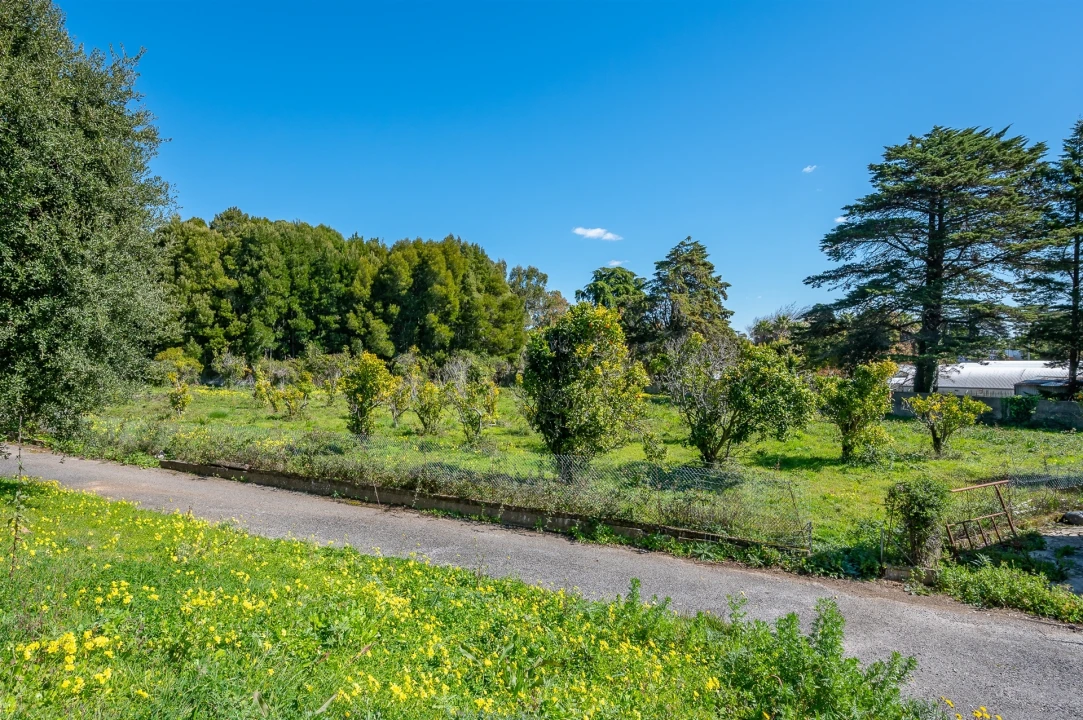 Moradia T10 para Venda em Santa Maria e São Miguel, São Martinho, São Pedro Penaferrim Foto 35