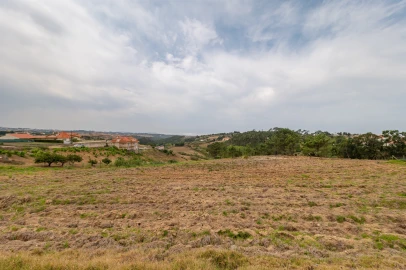 Terreno para Venda em Santo Isidoro