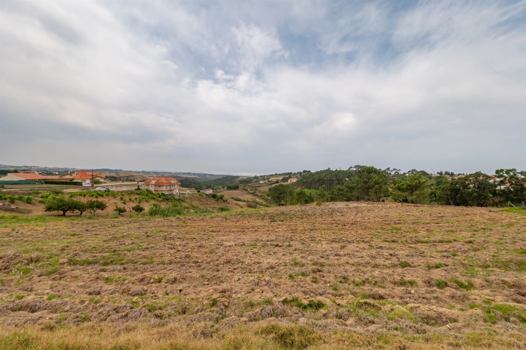 Terreno para Venda em Santo Isidoro Foto 6
