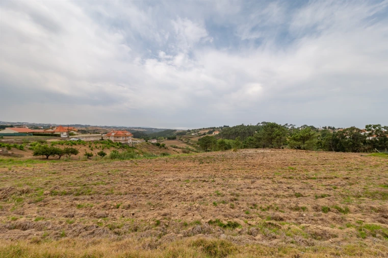 Terreno para Venda em Santo Isidoro Foto 6